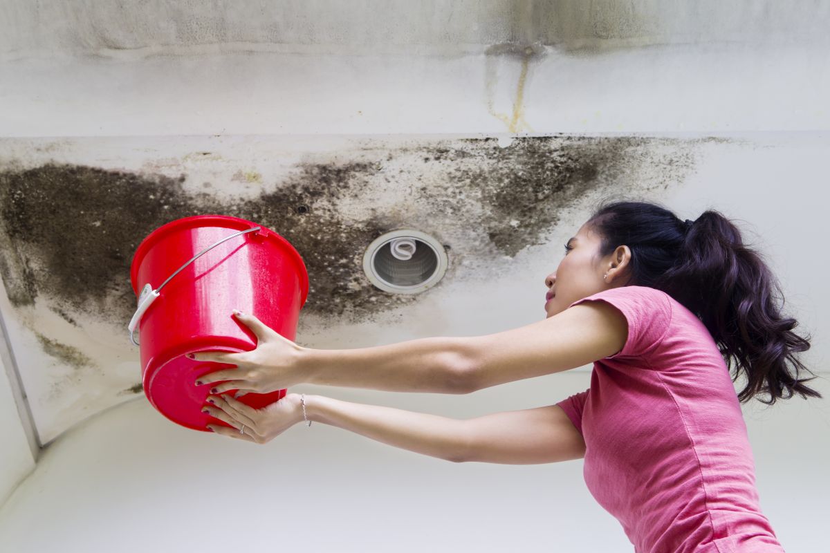 Water Damage Retoration,