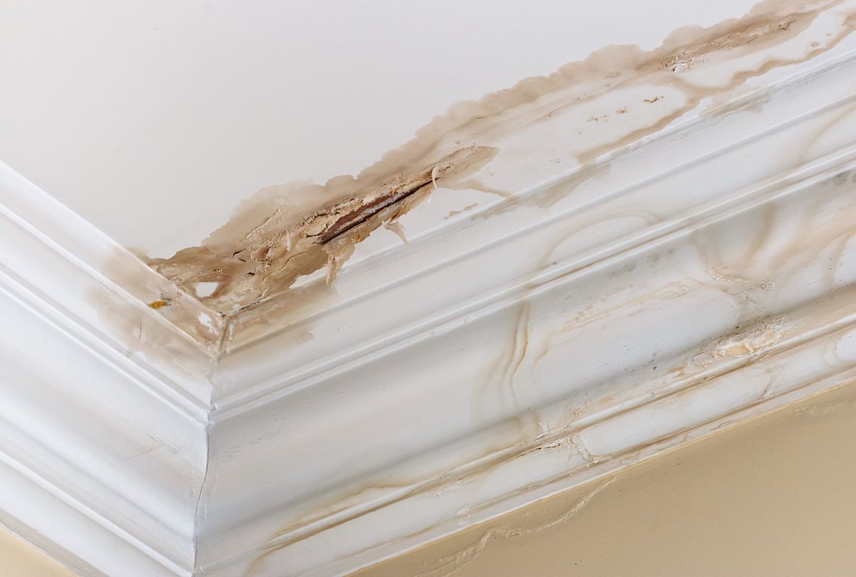 Water Damage,